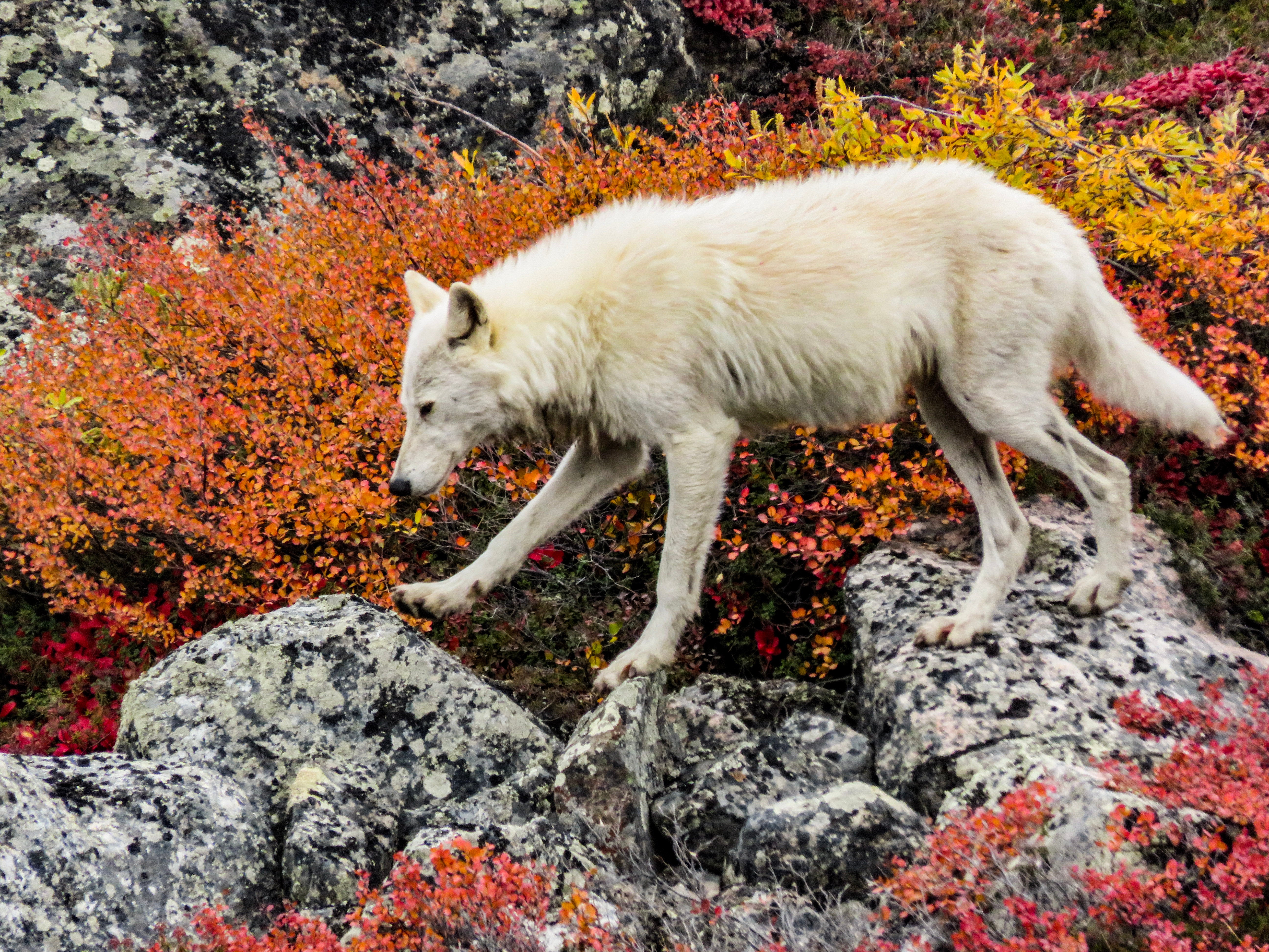 Photo Credit: Catherine Graydon