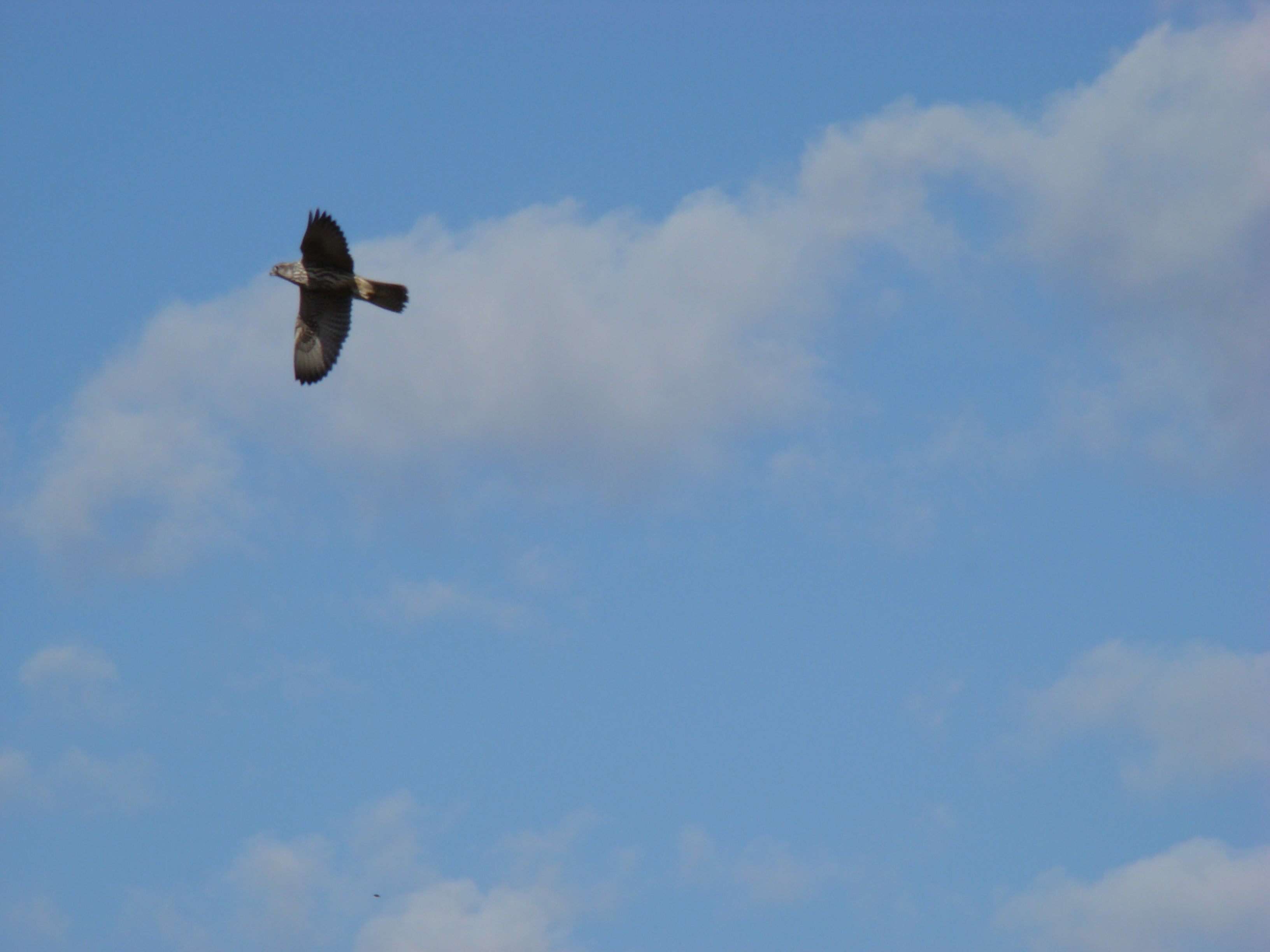 Photo Credit: J. Obst