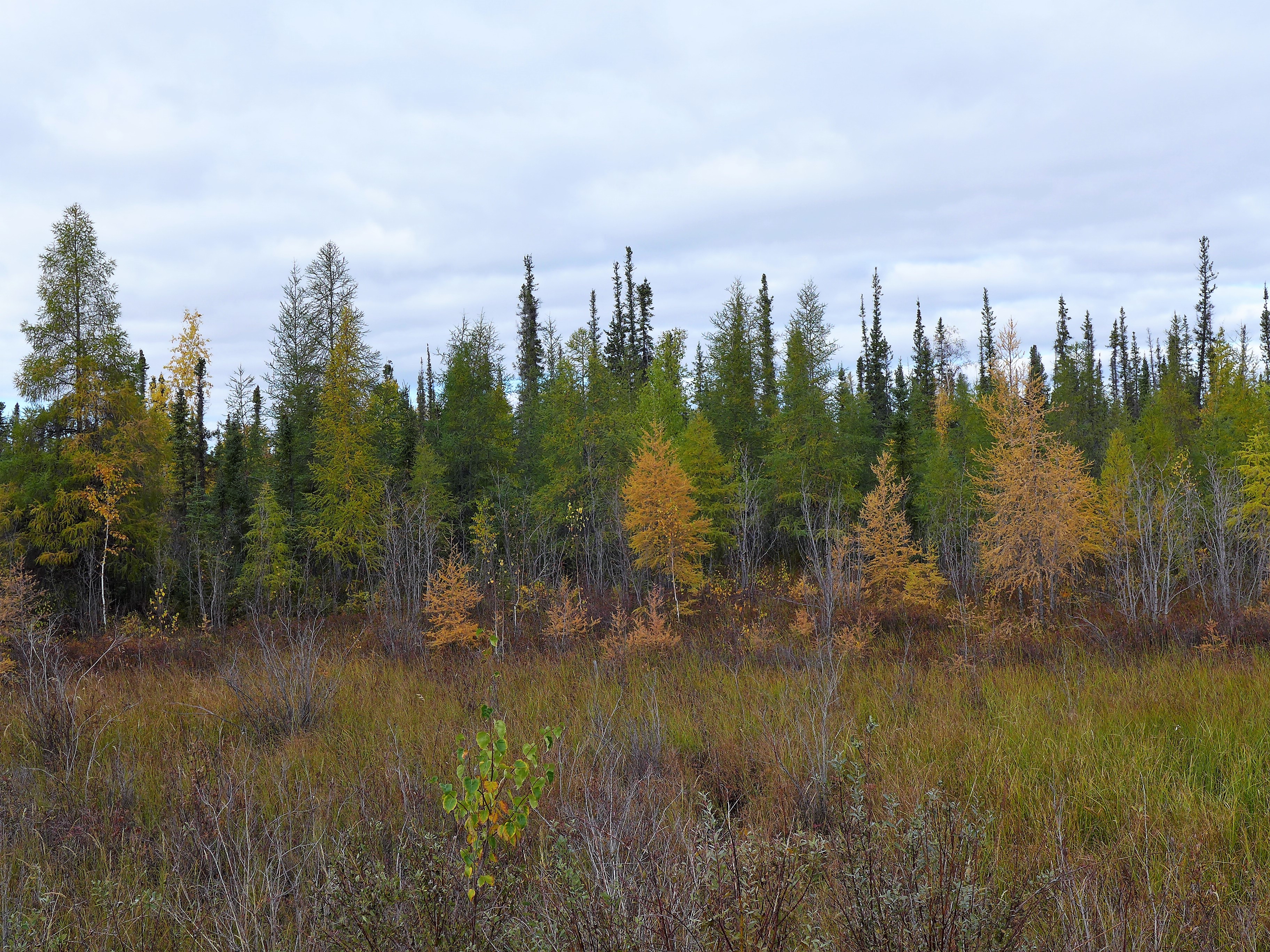 Photo Credit: Susan Beaumont, WRRB