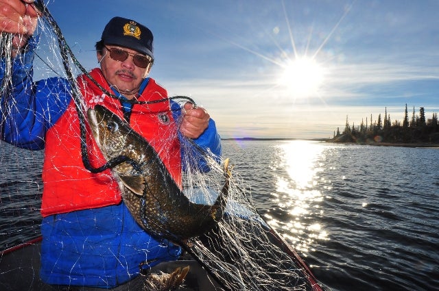 WRRB Board member Jonas Lafferty pulling in a Łiwezǫǫ̀ (Lake Trout).  Photo:  Paul Vecsei, Golder Associates Ltd. 