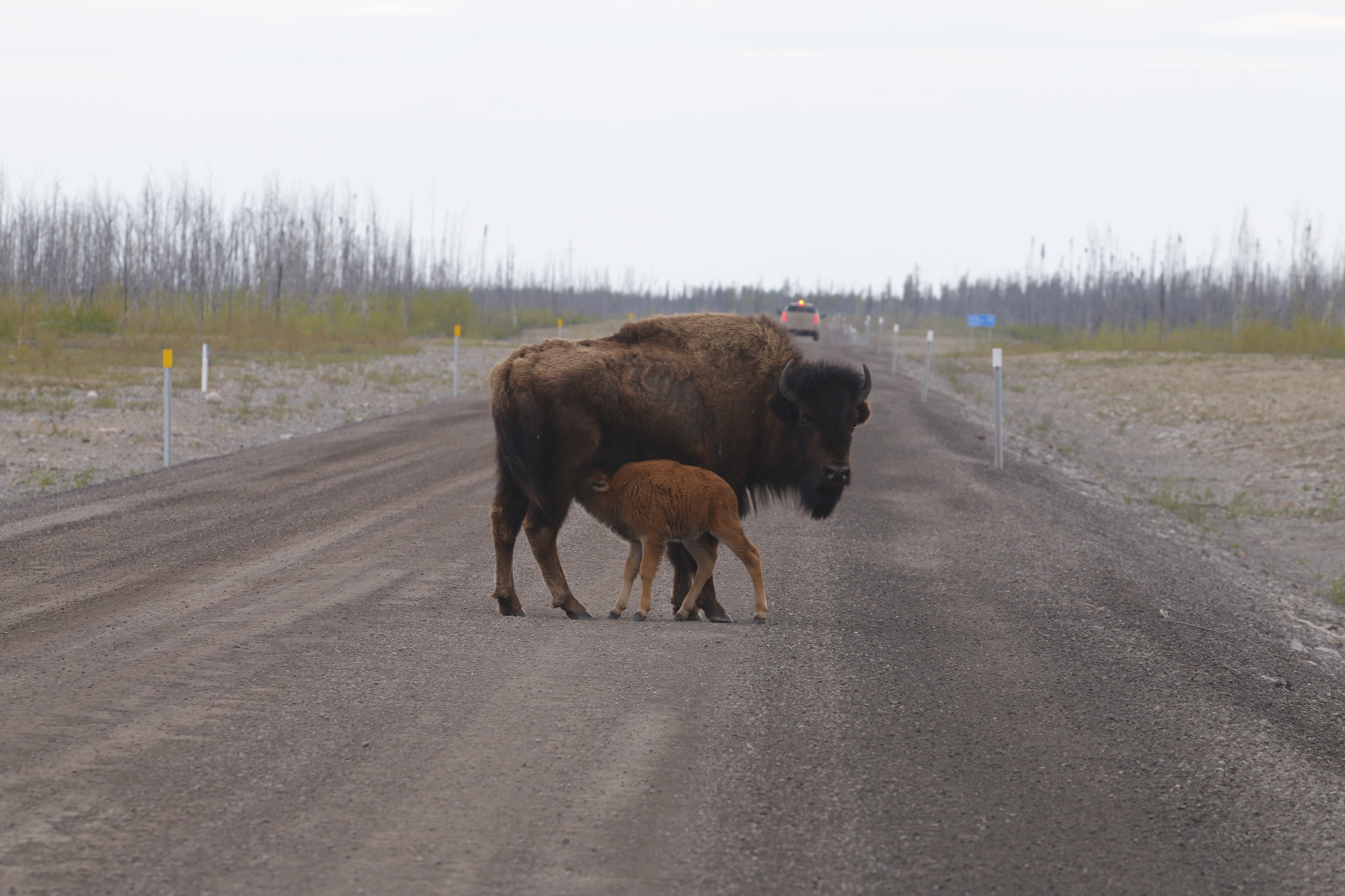 Photo Credit: Amanda Weltman