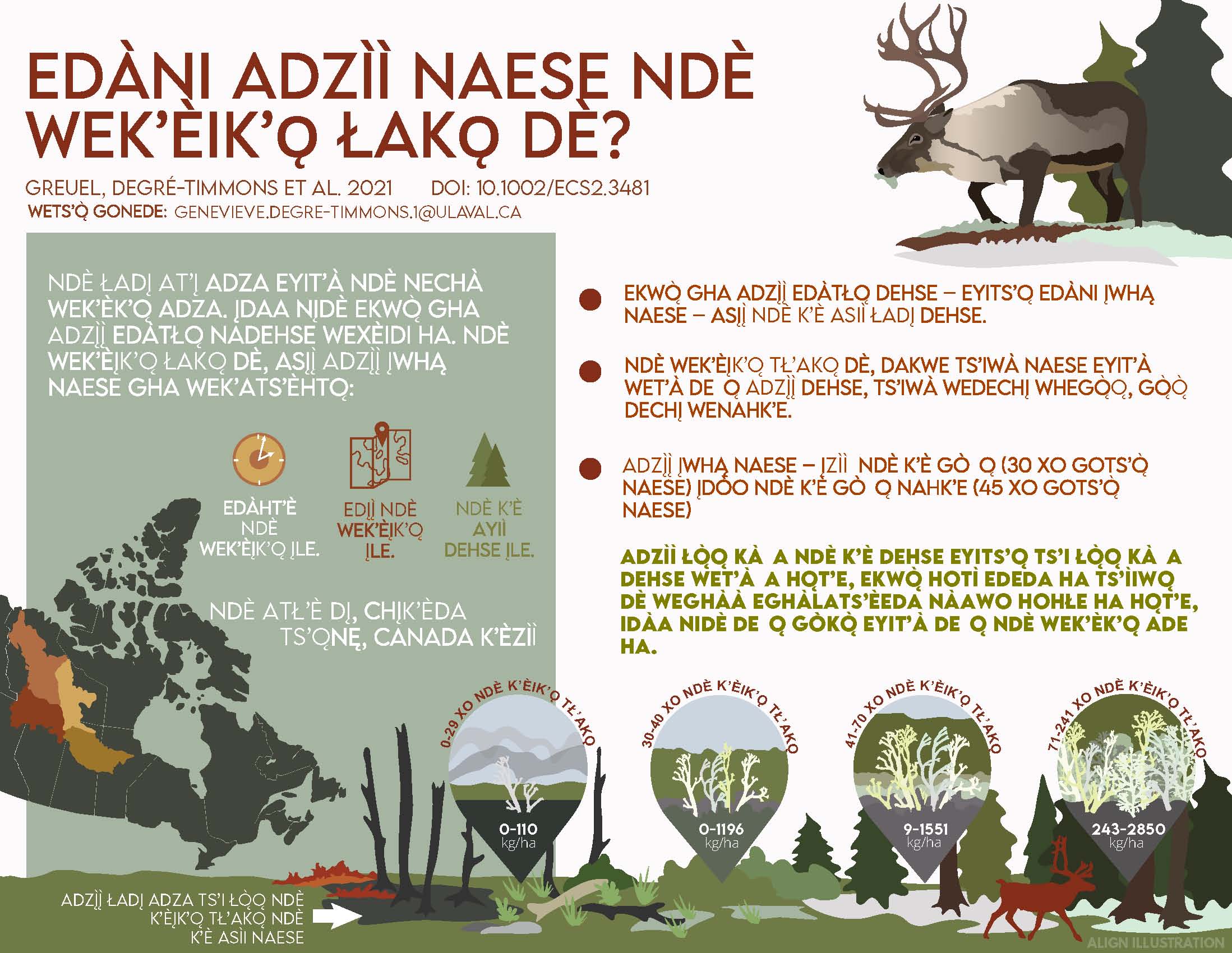 Lichen Recovery - Tlicho