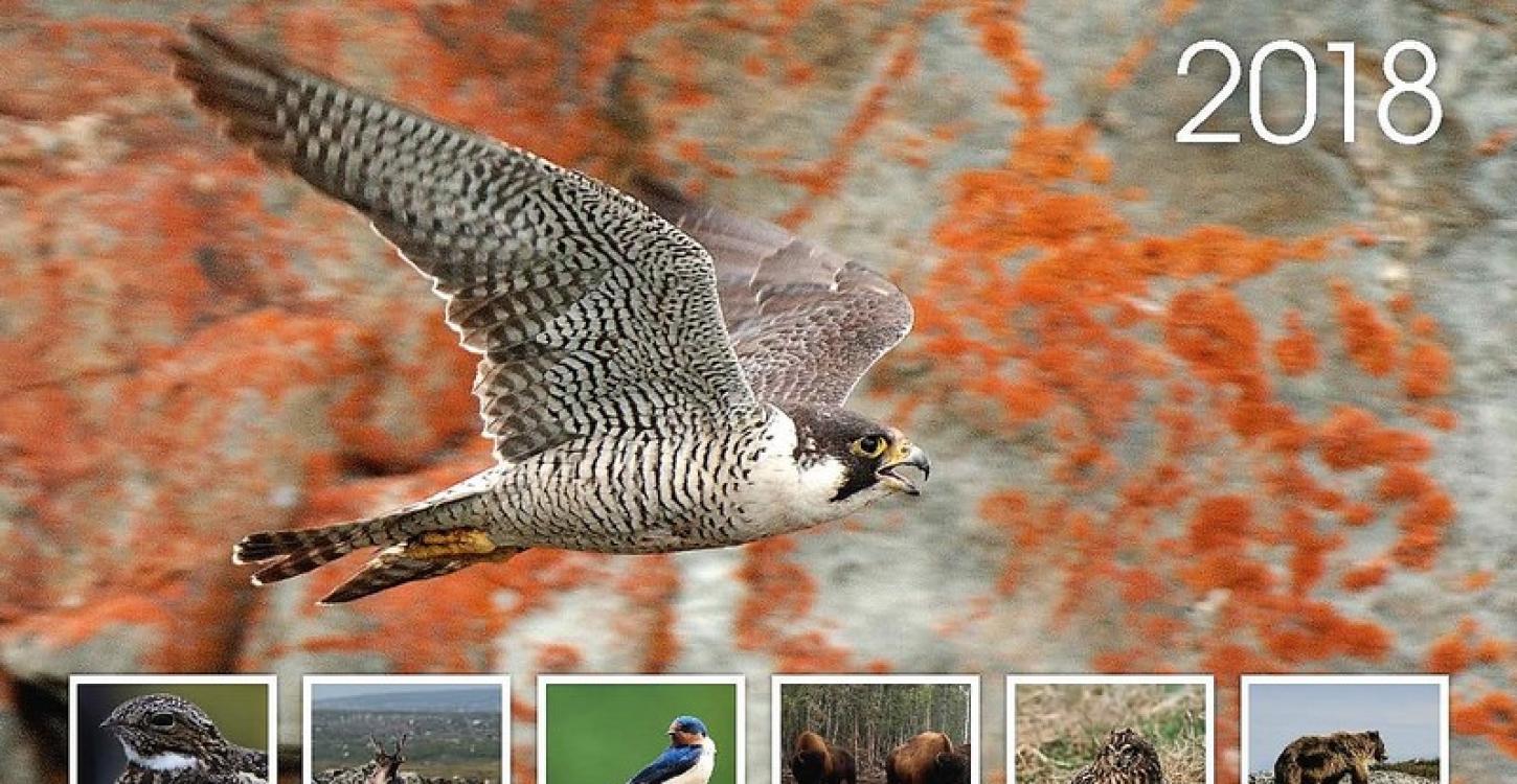 WRRB Calendar 2018 Cover 