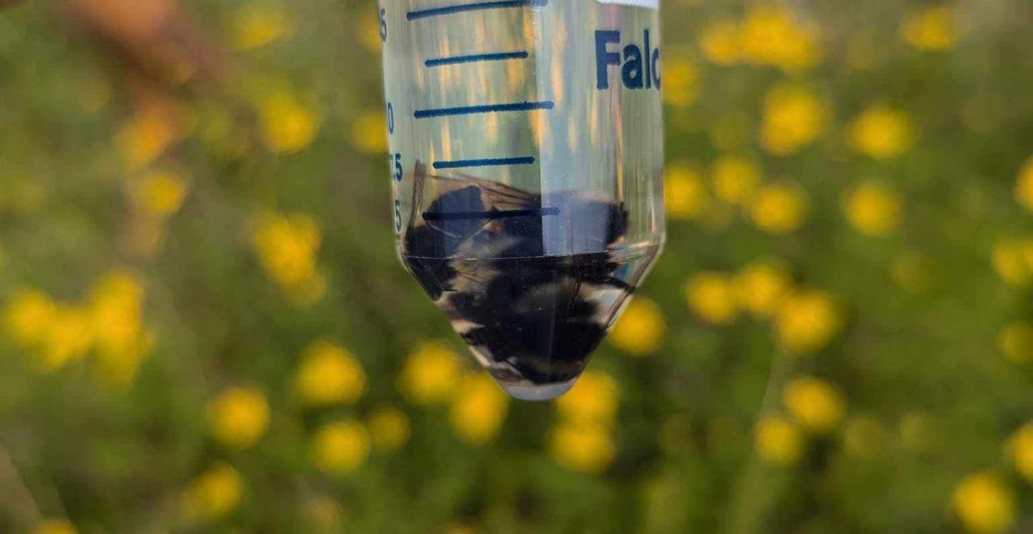 Photo Credit: Amanda Weltman, WRRB.