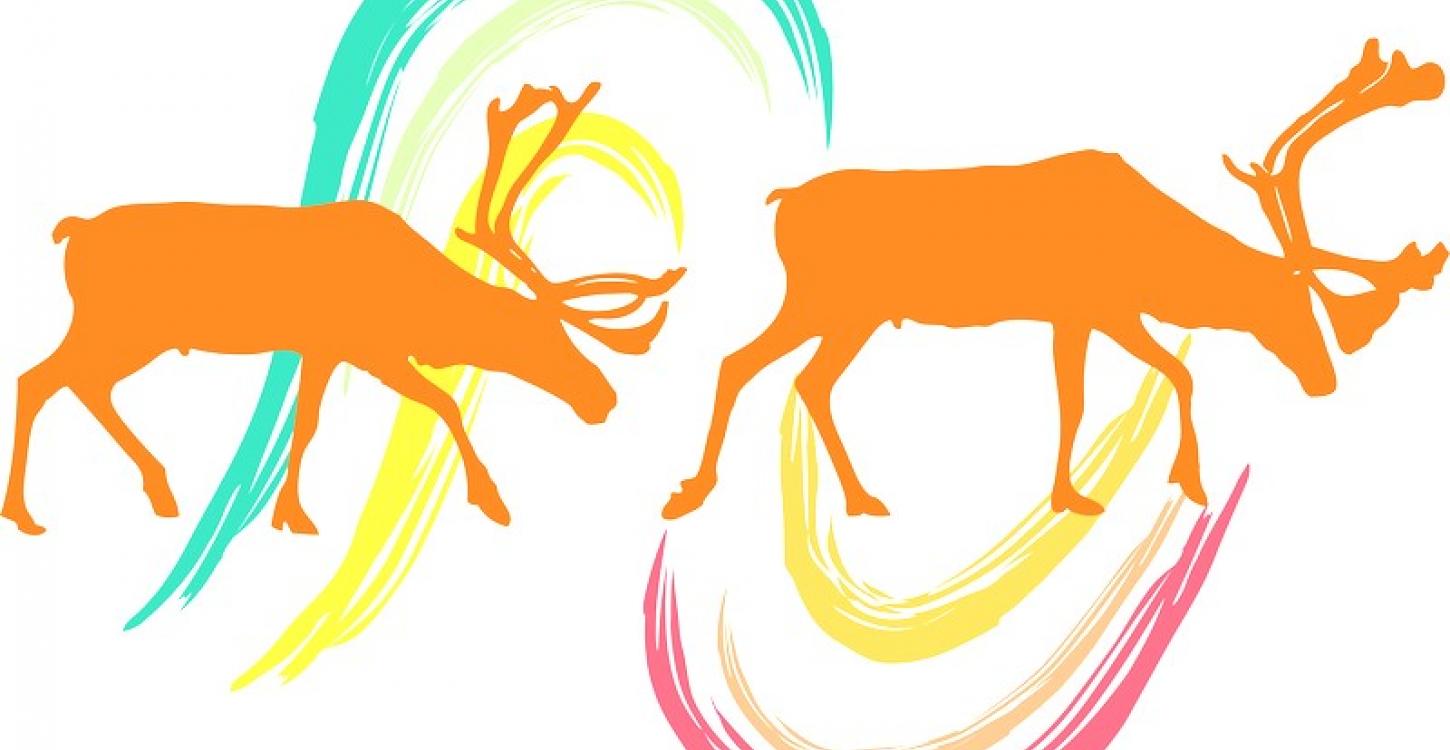 Action Plan Logo - ACCWM