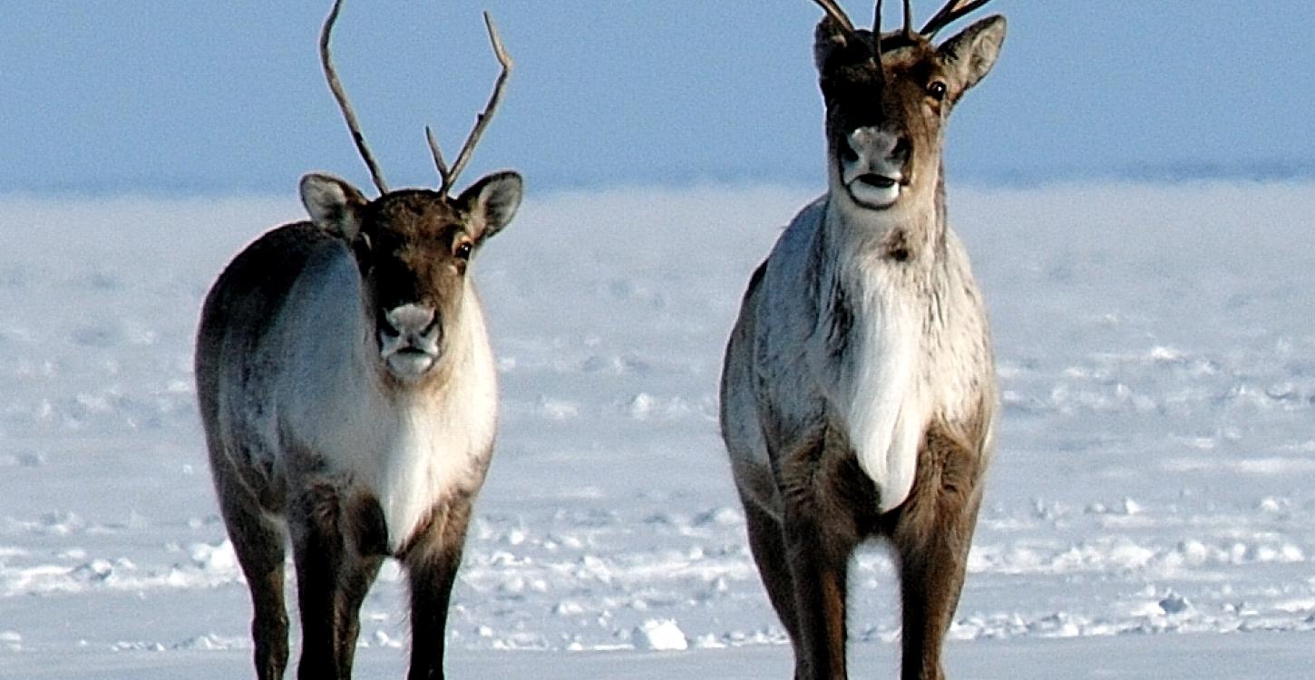 Photo Credit: John Nagy, ENR