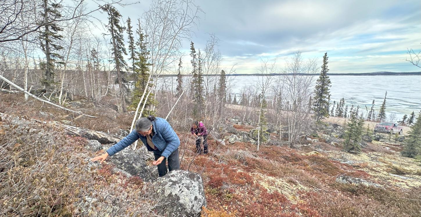 Mary Adele Football and Violet Mackenzie pick last year’s  Įtł'ǫ̀ (cranberries) in Wekweètìi in May.  Aimee Guile/WRRB  