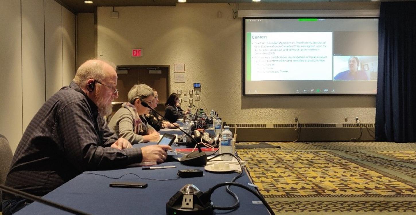 Board members listen in to a presentation during the meeting. Photo credit: Laura Meinert, WRRB. 