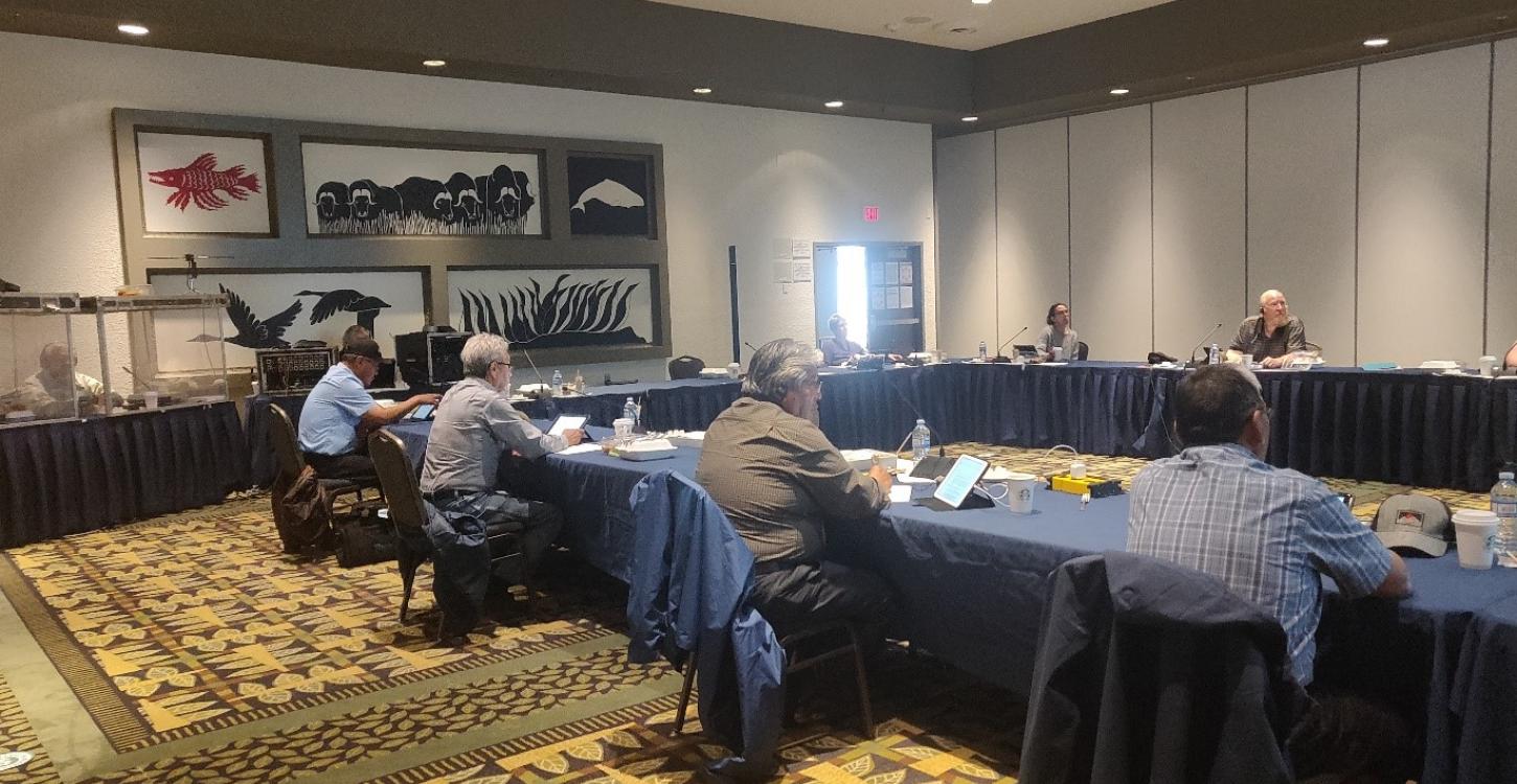 Board members and translators during the meeting. Photo credit: Laura Meinert, WRRB, 2020. 