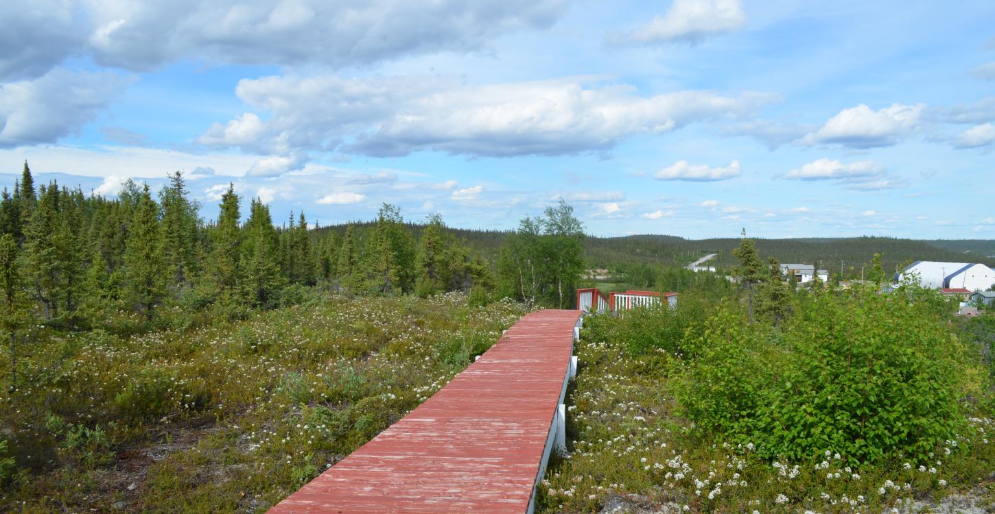 Wekweeti, SNP, 2016. Photo credit: WLWB