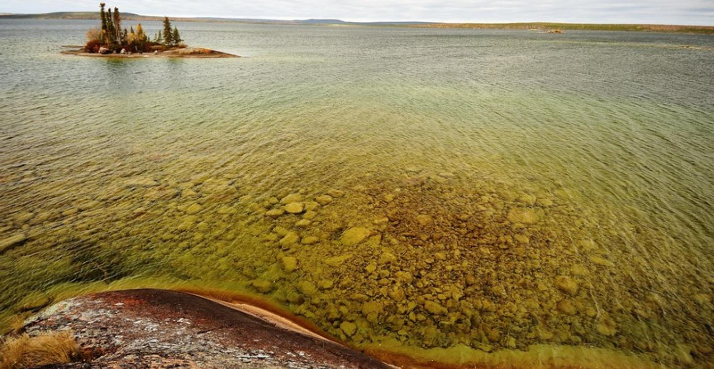  Gamètì Fish Camp Landscape (Photo:  Paul Vescei / Golder Associates)