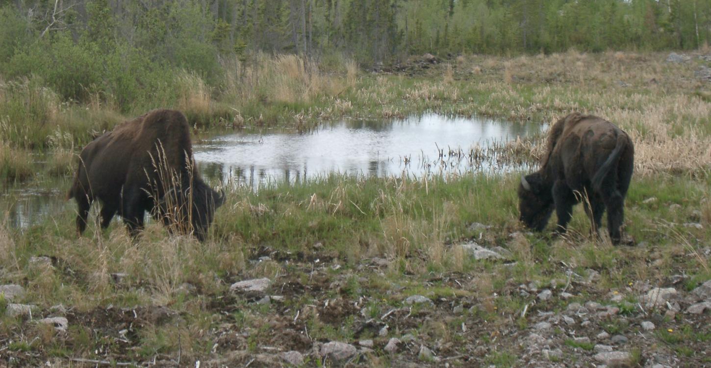 Photo Credit: John Nishi, ENR