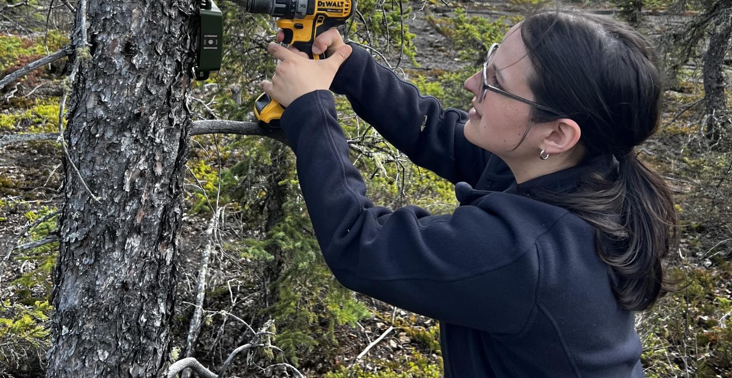 Photo Credit: Mary Drake, WRRB.