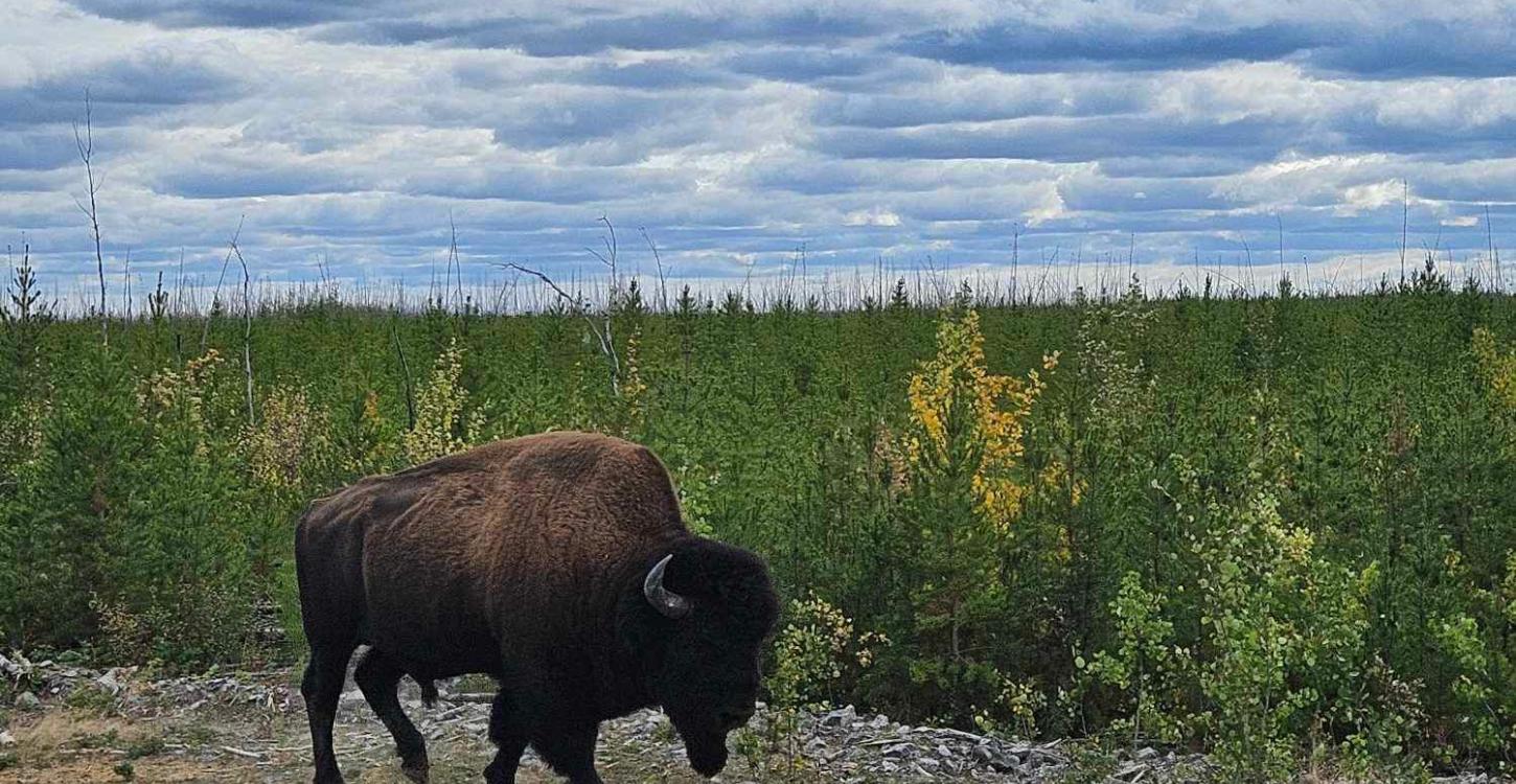 Photo Credit: Jody Pellissey, WRRB.