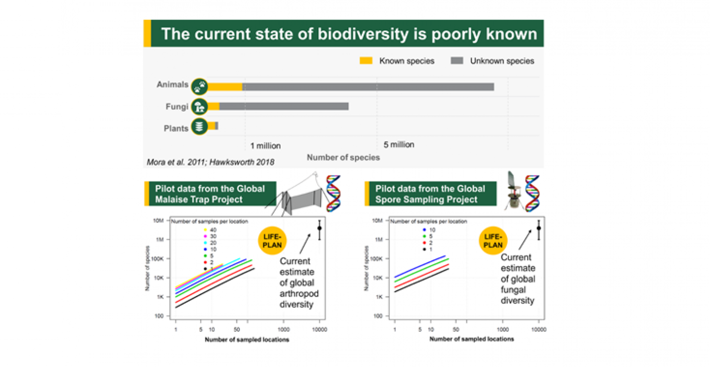 This graphic shows the present state of biodiversity and what we currently know, versus what we do not know. The project aims to build the data and improve the number of known species and the data available on them. Image credit: LIFEPLAN, University of Helsinki, https://www2.helsinki.fi/en/projects/lifeplan/about 