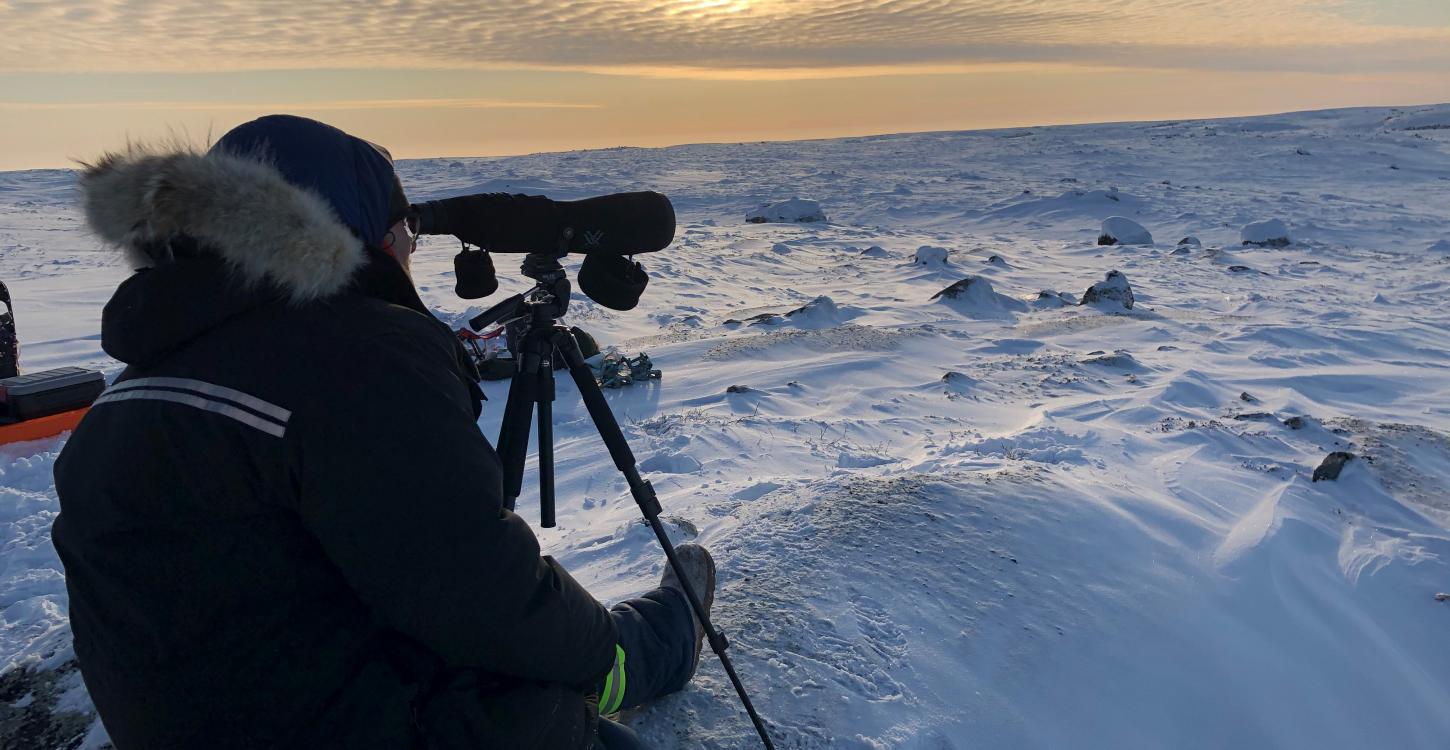 Lead researcher, Angus Smith, conducts a group scan. Photo Credit: Aimee Guile