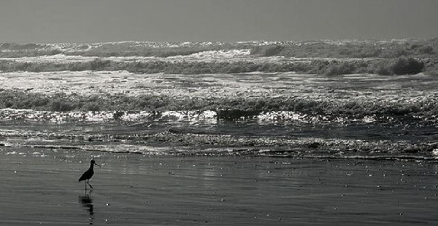 The WRRB will mark World Ocean's Day and Rivers to Oceans Day this week. photo sourced from Wikipedia Commons 