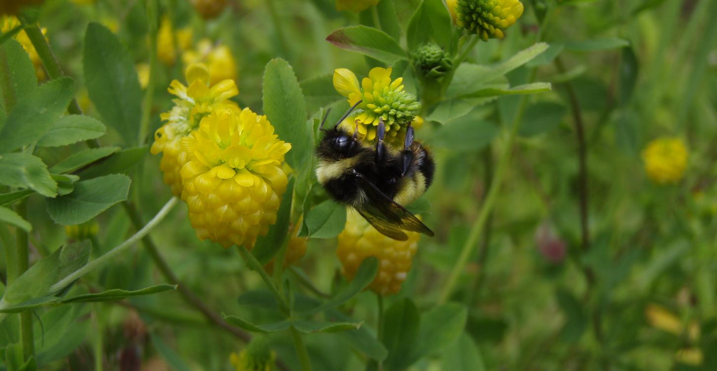 Photo Credit: Leif Richardson