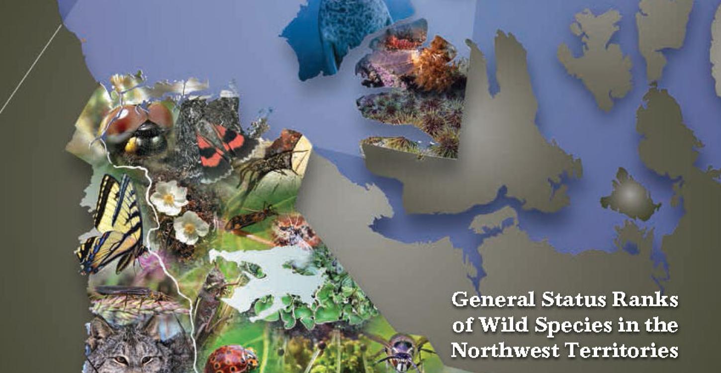 Cover of NWT Species 2016-2020 Report
