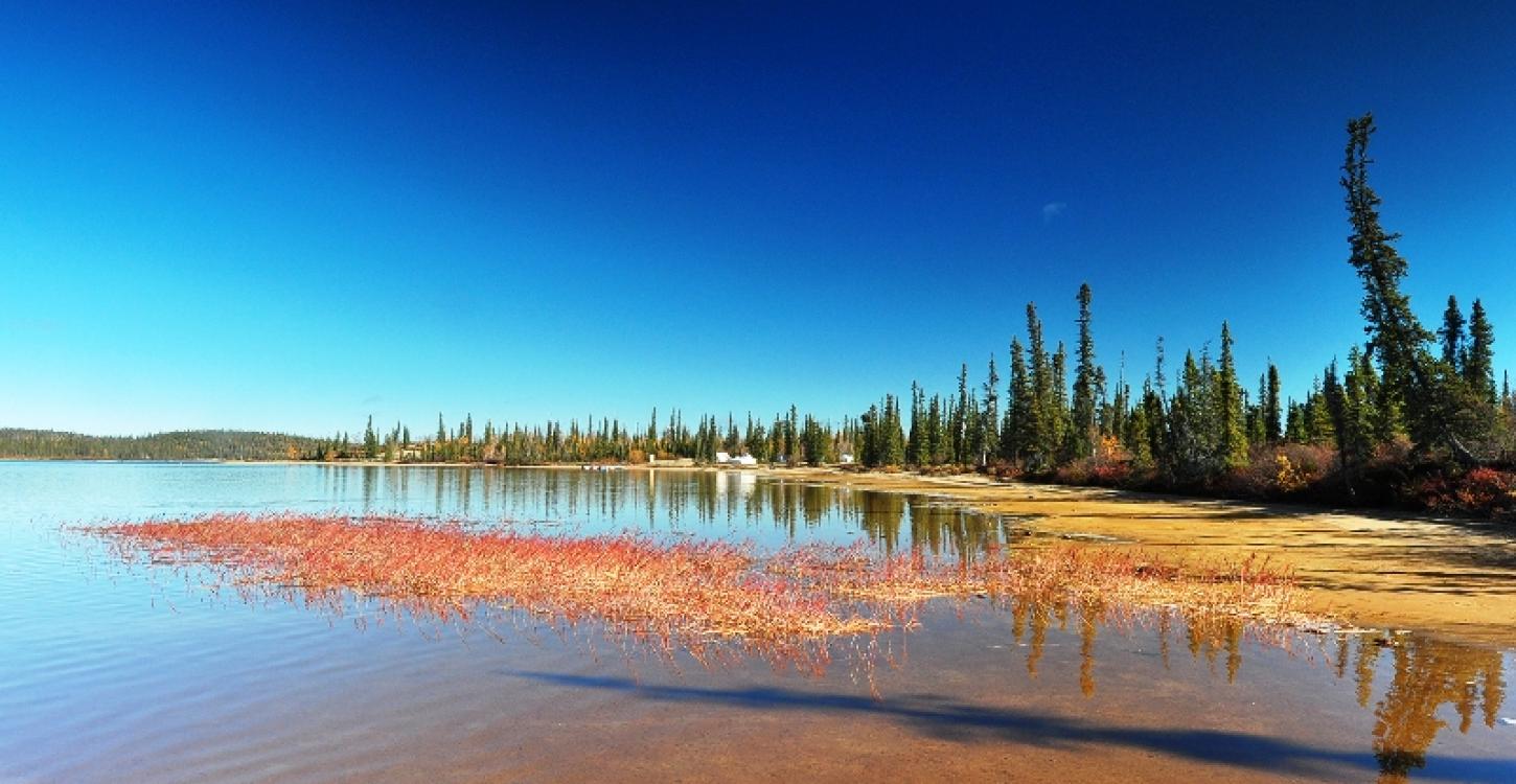 View of TAEMP fish camp near Wekweètì, 2016  (Photo:  Paul Vecsei, Golder Associates Ltd.) 