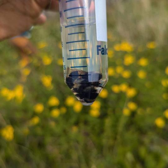 Photo Credit: Amanda Weltman, WRRB.