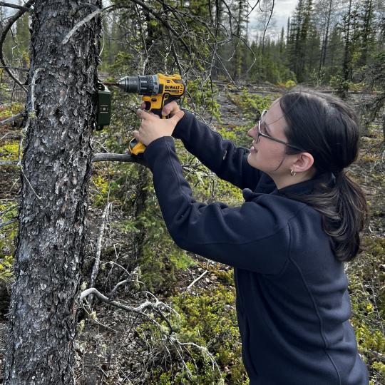 Photo Credit: Mary Drake, WRRB.