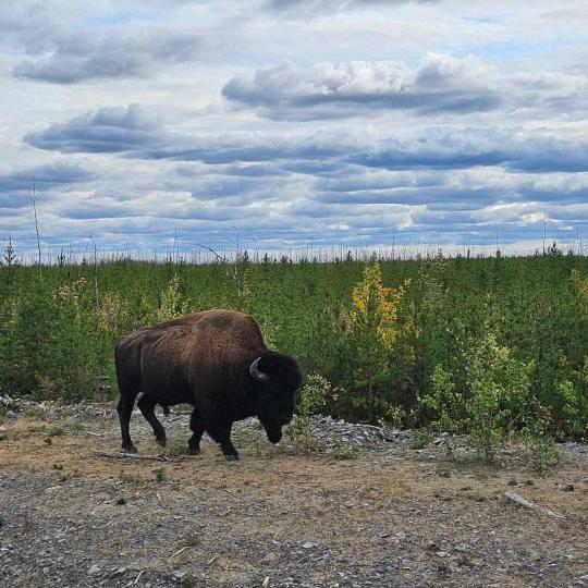 Photo Credit: Jody Pellissey, WRRB.