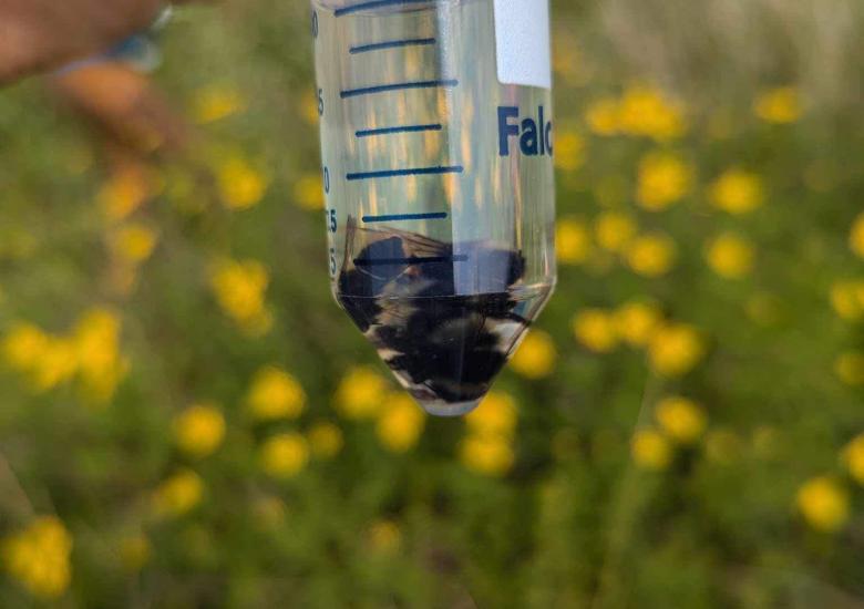 Photo Credit: Amanda Weltman, WRRB.