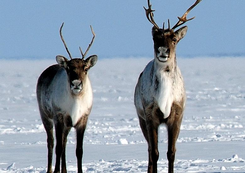 Photo Credit: John Nagy, ENR