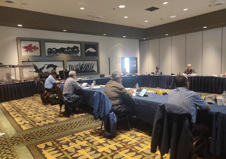 Board members and translators during the meeting. Photo credit: Laura Meinert, WRRB, 2020. 
