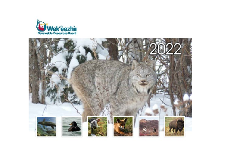 Front cover of our 2022 calendar. Image credit: WRRB. 