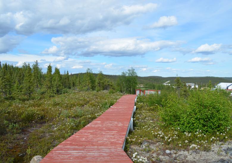 Wekweeti, SNP, 2016. Photo credit: WLWB