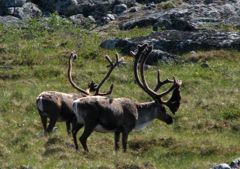 Photo Credit: Andy Krisch, ENR