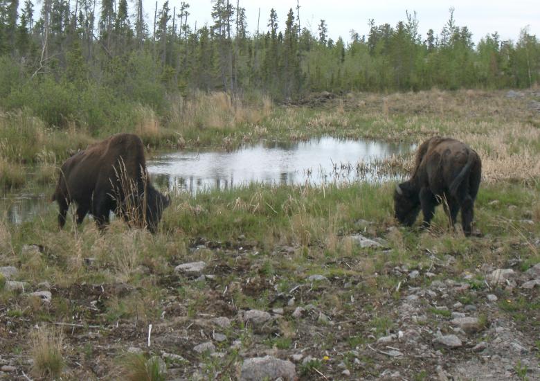 Photo Credit: John Nishi, ENR