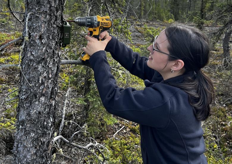 Photo Credit: Mary Drake, WRRB.