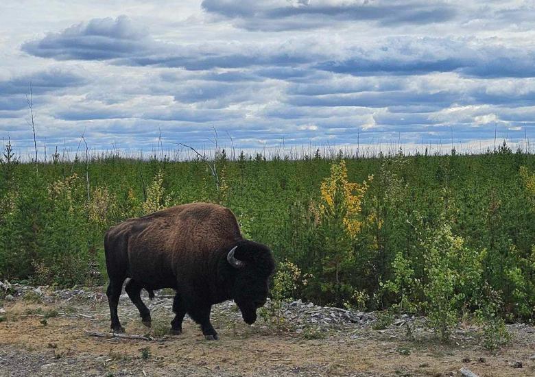 Photo Credit: Jody Pellissey, WRRB.