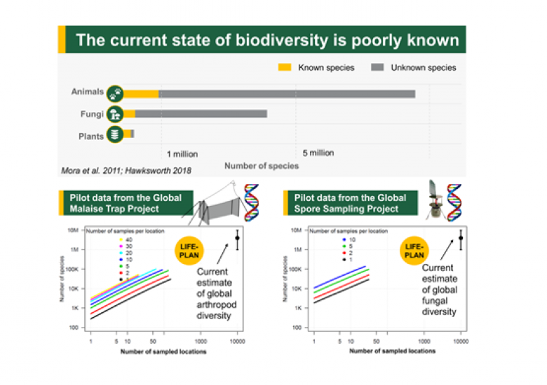 This graphic shows the present state of biodiversity and what we currently know, versus what we do not know. The project aims to build the data and improve the number of known species and the data available on them. Image credit: LIFEPLAN, University of Helsinki, https://www2.helsinki.fi/en/projects/lifeplan/about 