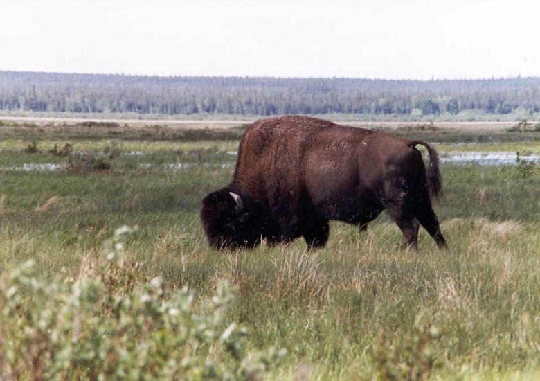 Photo Credit: Troy Ellsworth