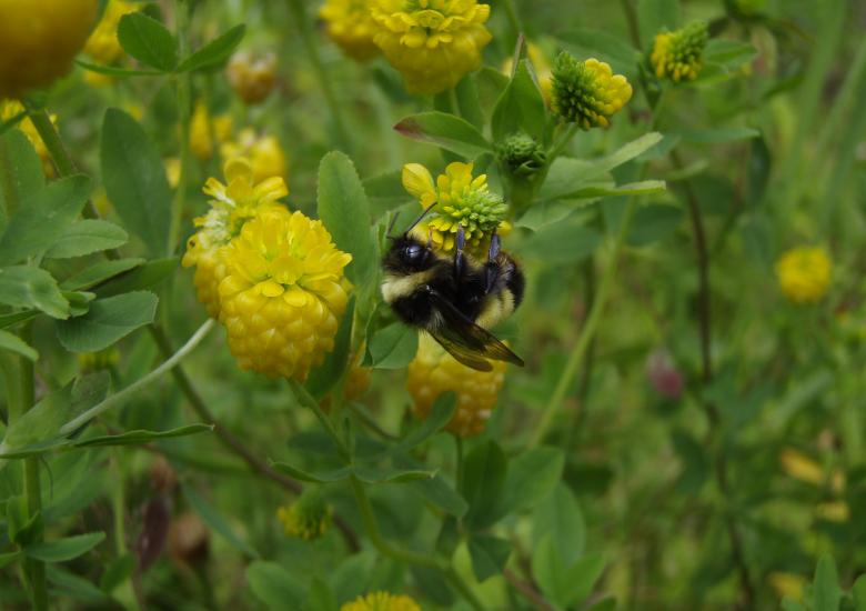 Photo Credit: Leif Richardson