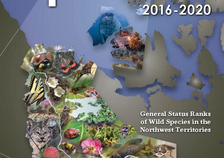 Cover of NWT Species 2016-2020 Report