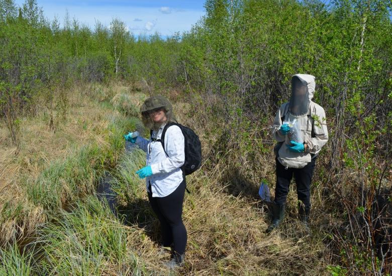 The Communications Officer, Shalyn Norrish, doing a little water sampling at one of the sites with Jessica Pacunayen, Regulatory Specialist for the WLWB, overseeing the process. Photo Credit: Brodie Costello, WLWB. 