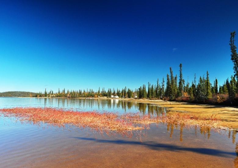 View of TAEMP fish camp near Wekweètì, 2016  (Photo:  Paul Vecsei, Golder Associates Ltd.) 
