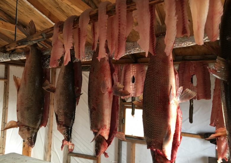 Photo Credit: Roberta Judas