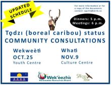 The Wek'èezhìı Renewable Resources Board  (WRRB) is participating in discussions in Tłı̨chǫ communities concerning the status of tǫdzı (boreal caribou).